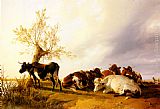 Cows Canvas Paintings - Dairy Cows Resting